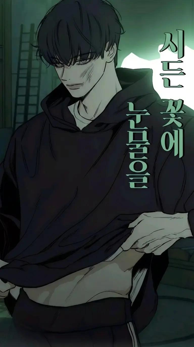 beom color ha thumbnail