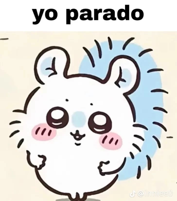 Momonga chikawaa  thumbnail