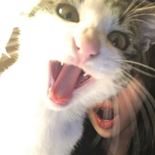 Giyuu Tomioka thumbnail