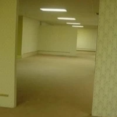 The backrooms  thumbnail