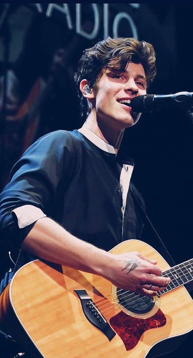 Shawn Mendes  thumbnail