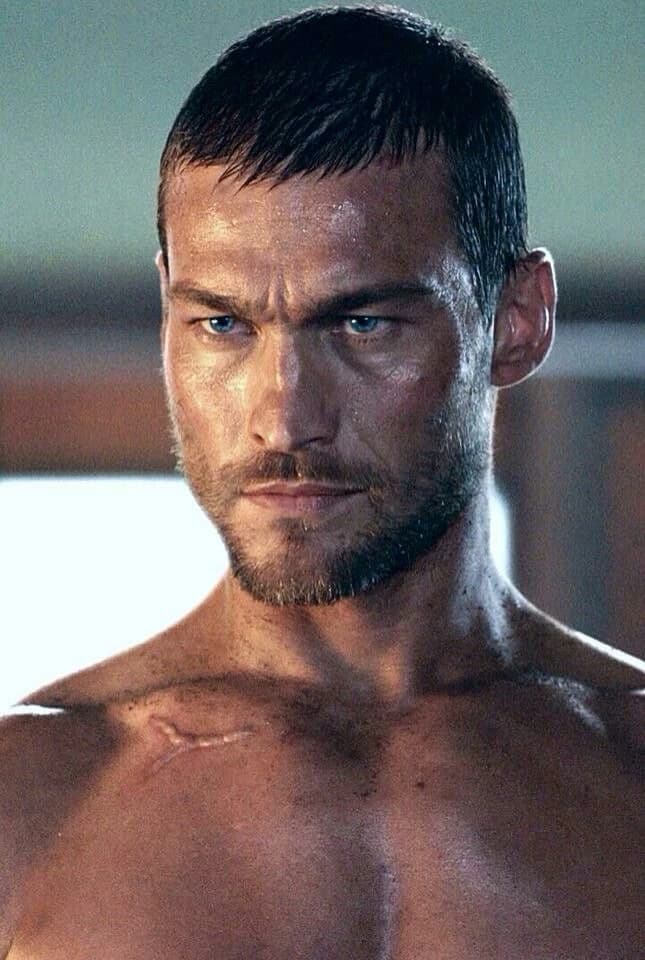 Spartacus  thumbnail