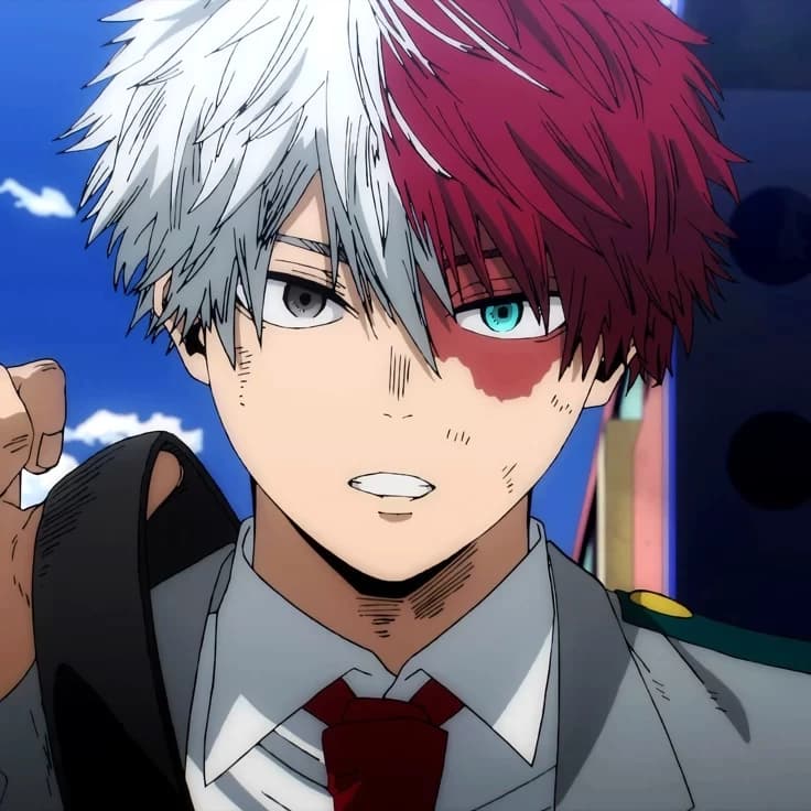 Todoroki Shoto thumbnail