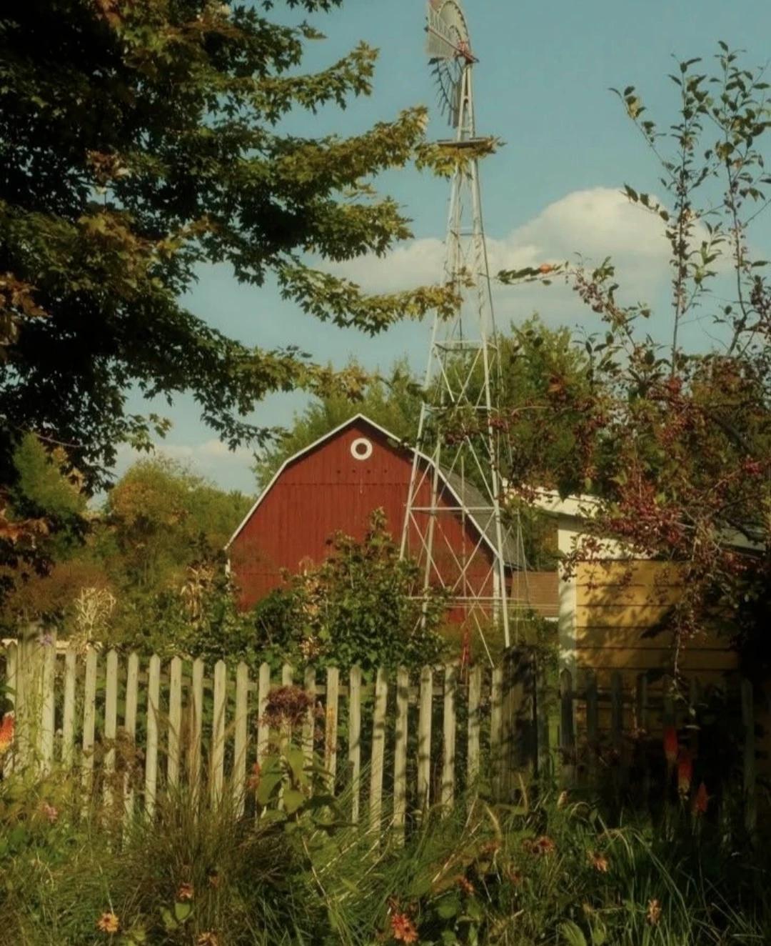 The dark farmhouse  thumbnail
