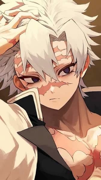 Sanemi-shinasugawa  thumbnail