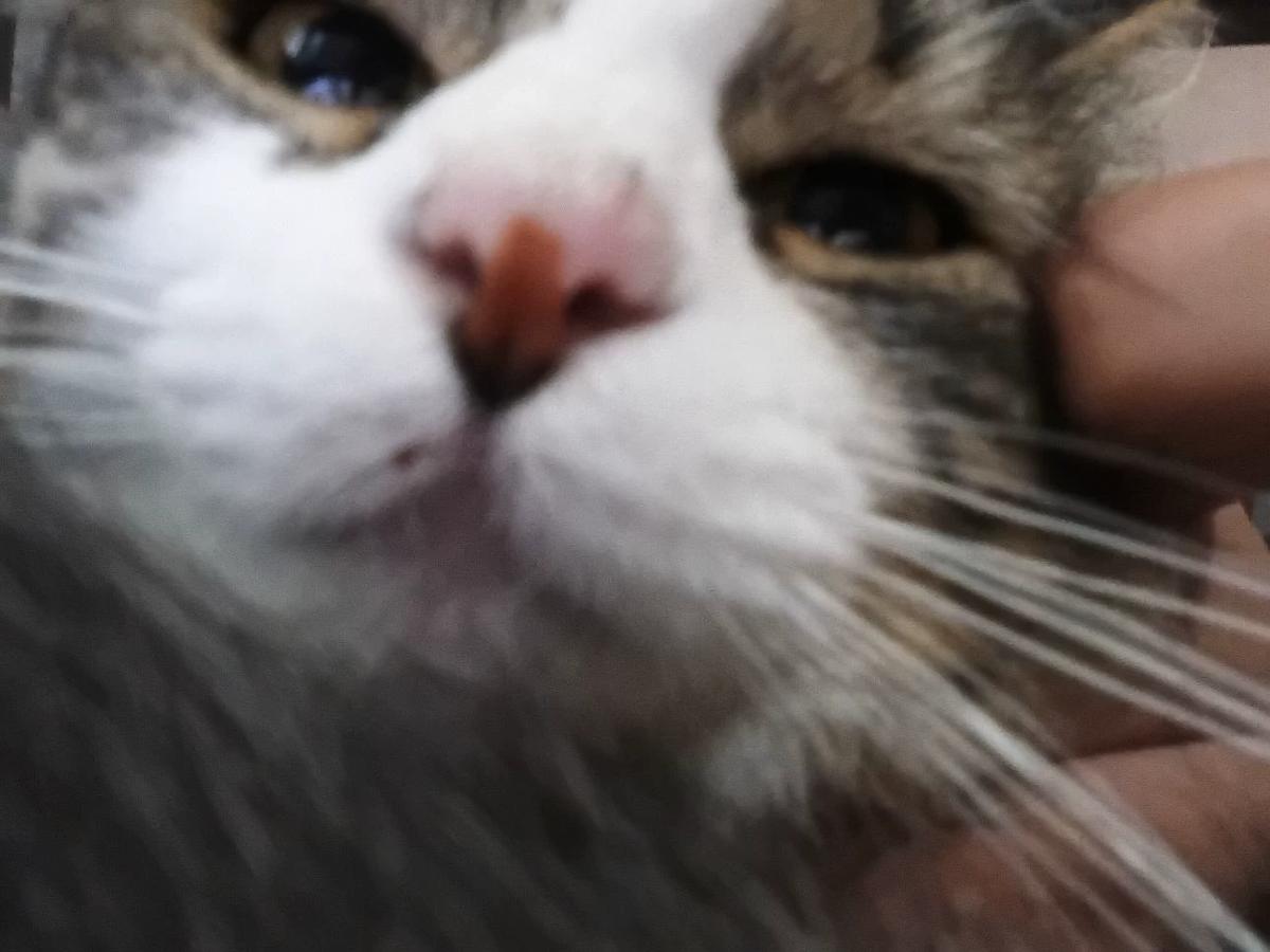 JJK was never real? V2 thumbnail