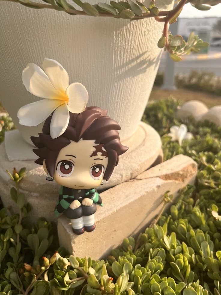 Shota Kakami thumbnail