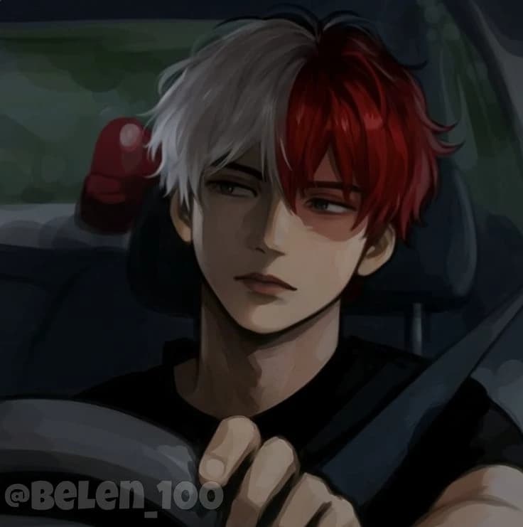 Shoto Todoroki  thumbnail