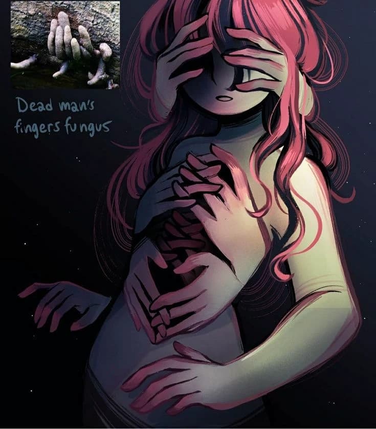 Xylaria thumbnail