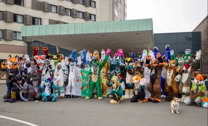 furry convention thumbnail