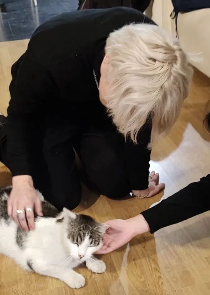 Draco Malfoy  thumbnail