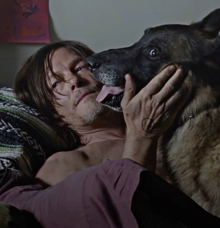 003 Daryl Dixon thumbnail