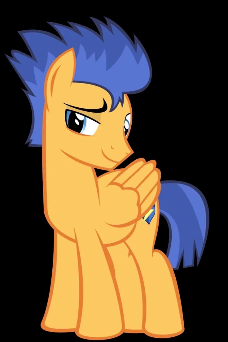 Flash Sentry thumbnail