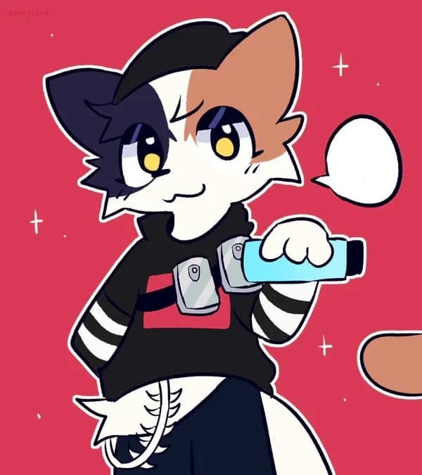 Boyki thumbnail