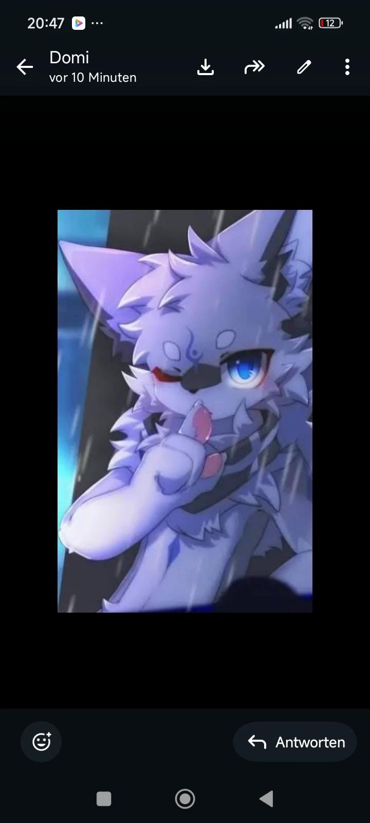 Boyki thumbnail