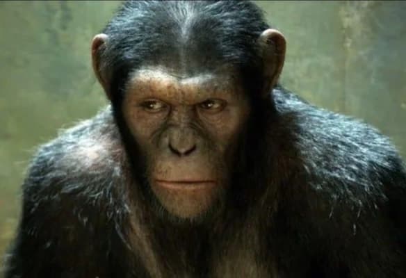 Caesar Planet of the Apes thumbnail