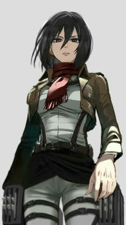Mikasa thumbnail