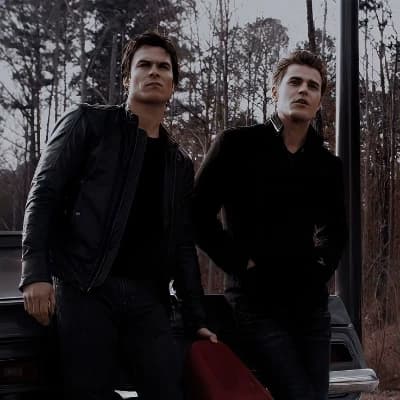 Stefan and Damon Salvatore thumbnail