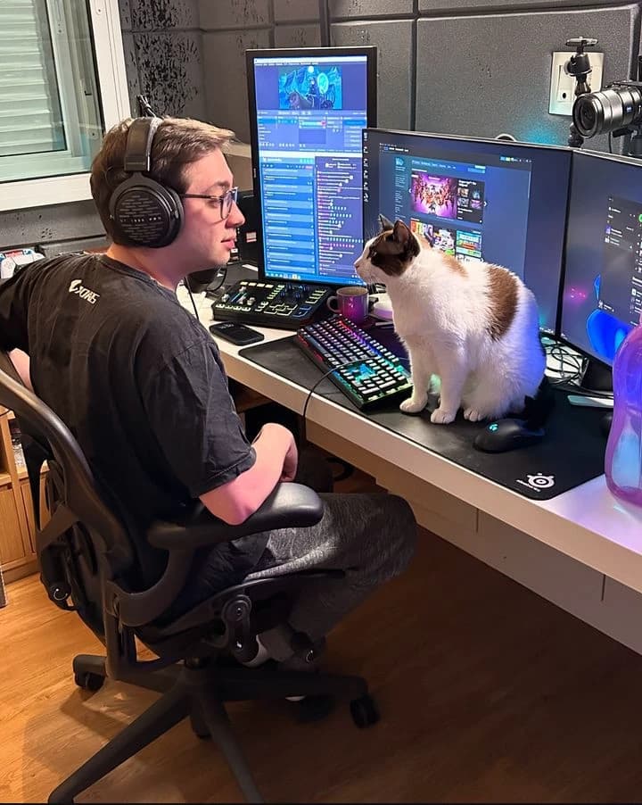Alanzoka thumbnail