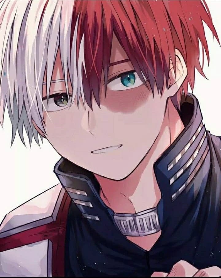 Shoto Todoroki || Your previous rival thumbnail