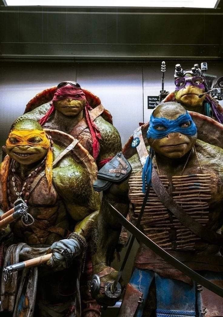 ⛓️ Ninja Turtles ⛓️ thumbnail