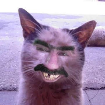 Кот Армен thumbnail