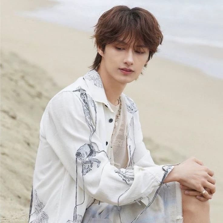 Wen Junhui thumbnail