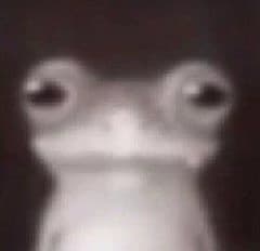 silly frog  thumbnail