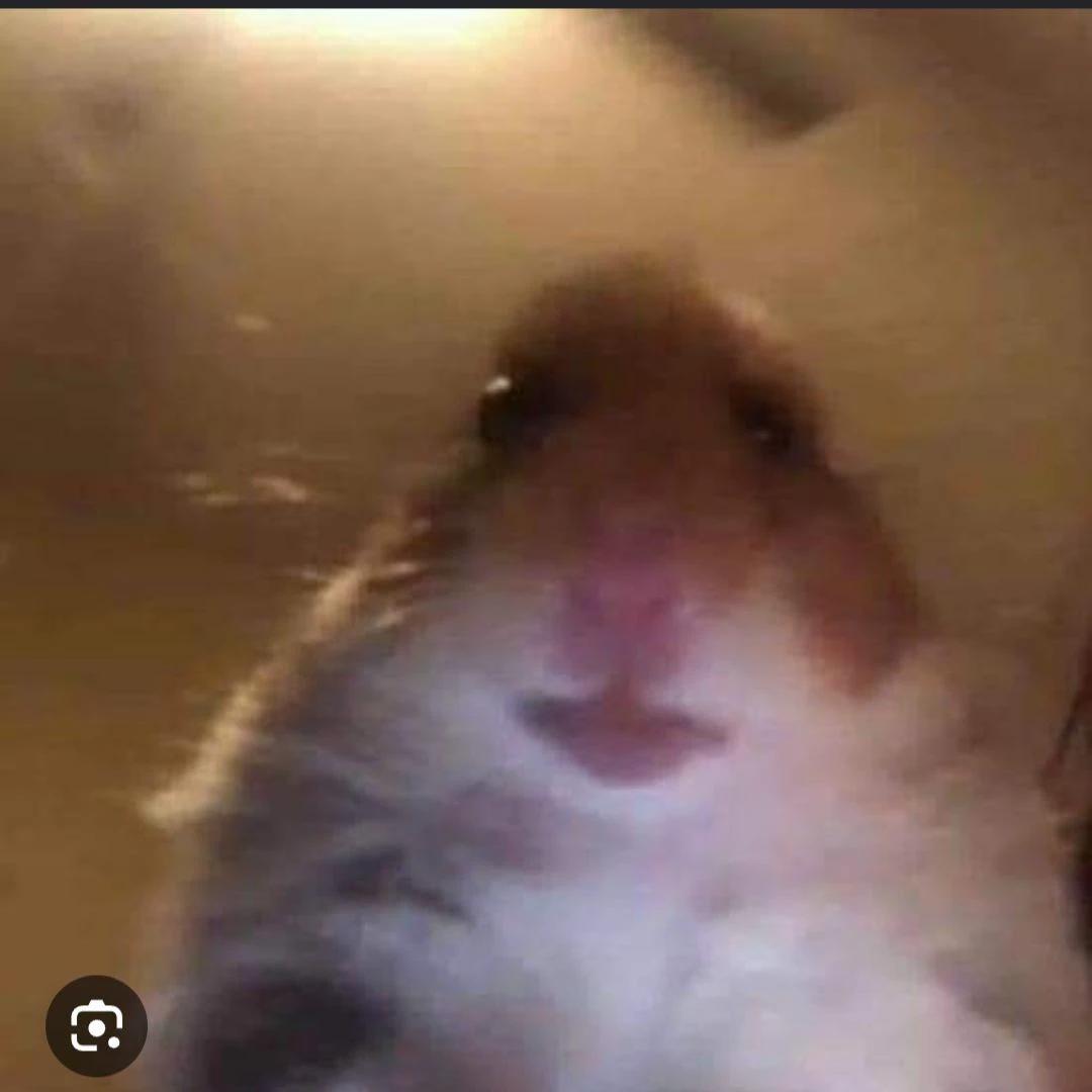 Skippi thumbnail