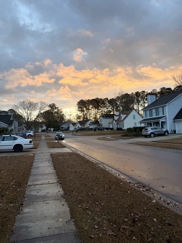 The new neighbors  thumbnail