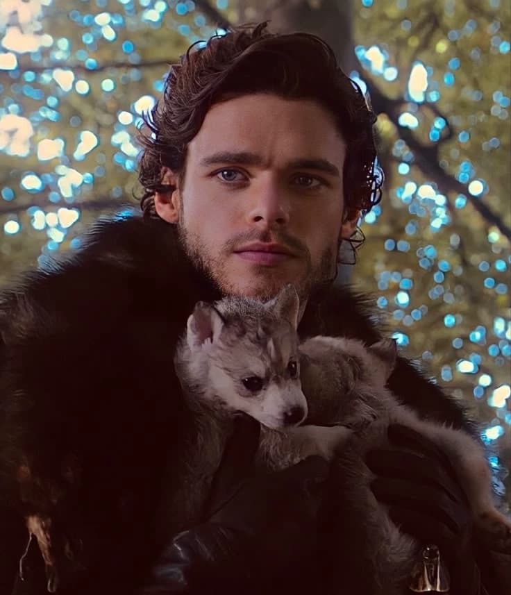 Robb Stark  thumbnail