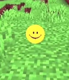 Verity™ thumbnail