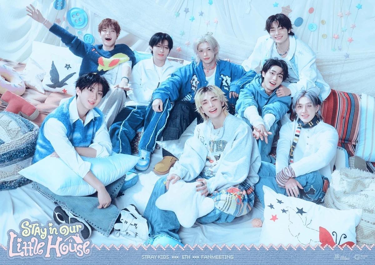Stray kids - domestic thumbnail