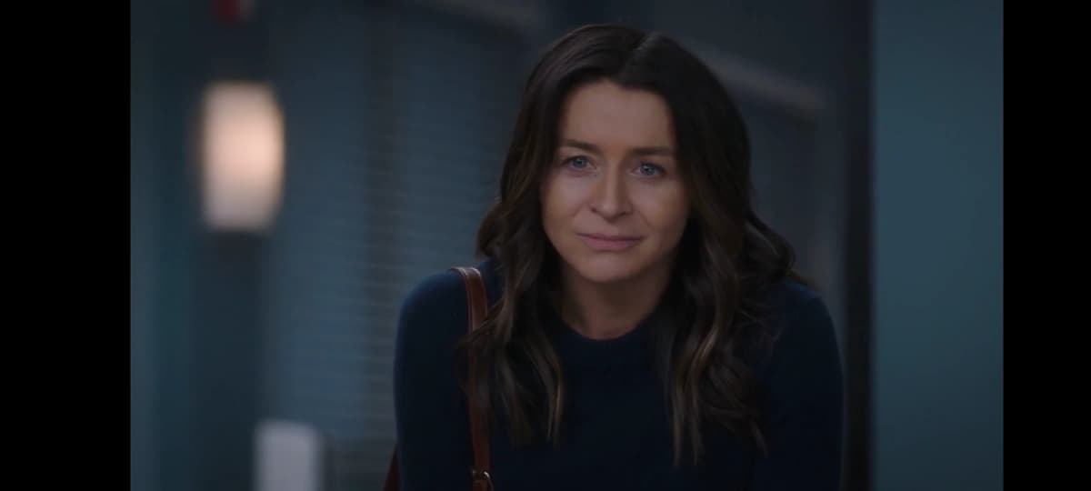 Amelia Shepherd thumbnail