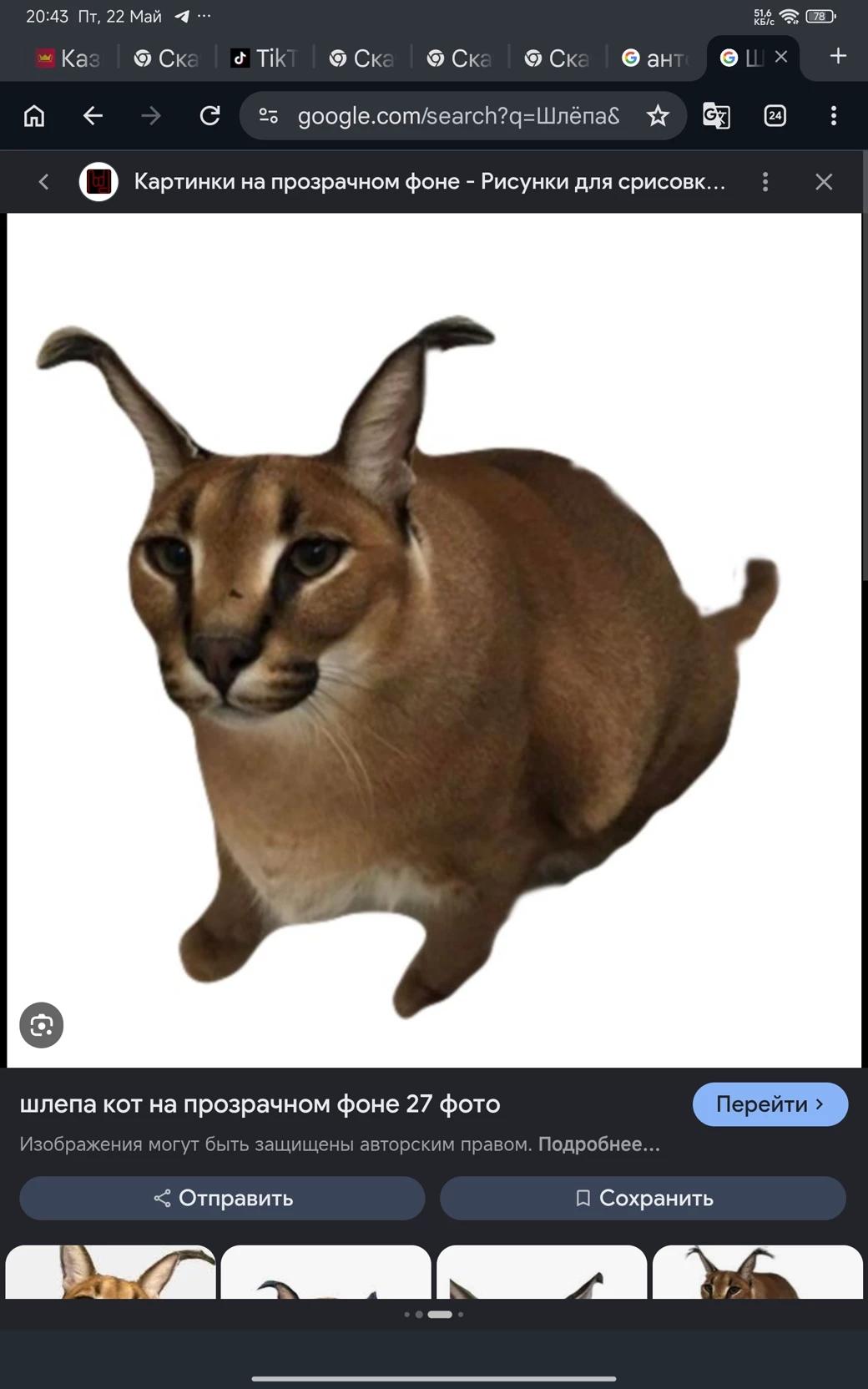 Шлёпа thumbnail
