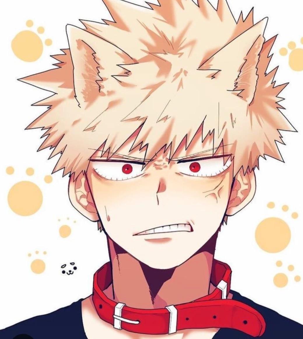 🐺 katsuki bakugo 🐺 thumbnail