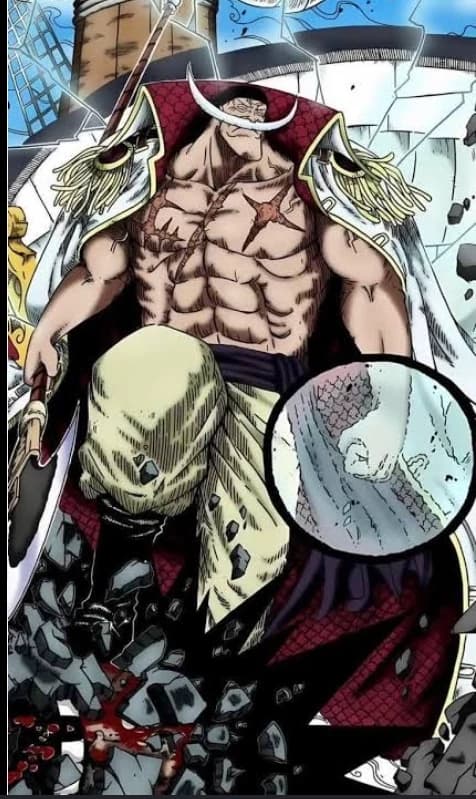 🔥Edward Newgate💪-Whitebeard thumbnail