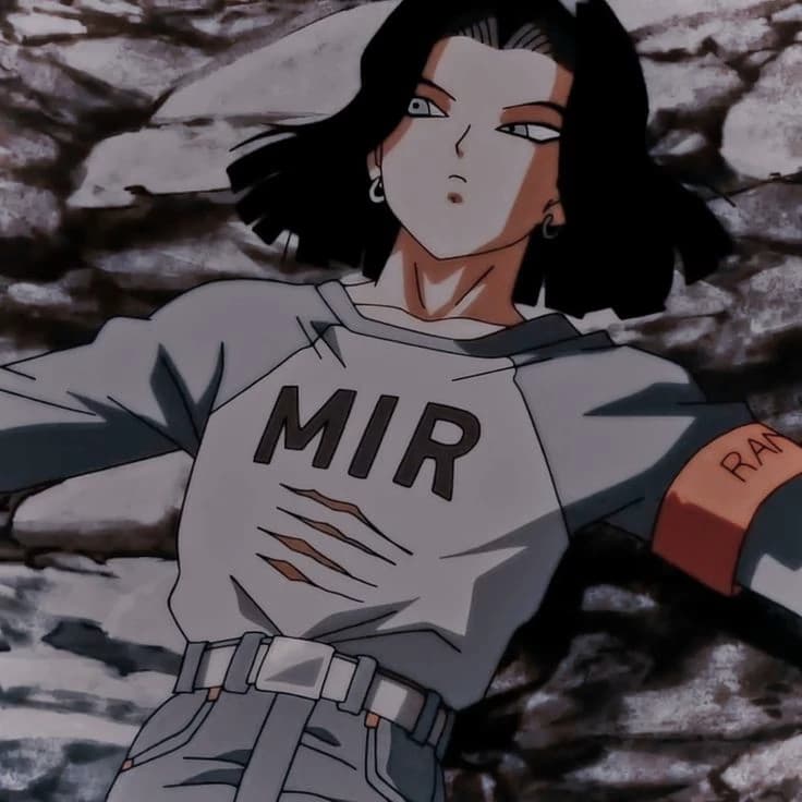 android 17 thumbnail
