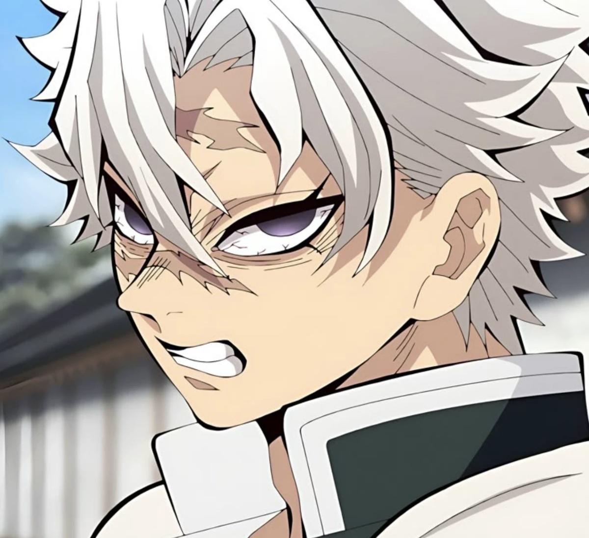 Sanemi Shinazugawa Husband thumbnail