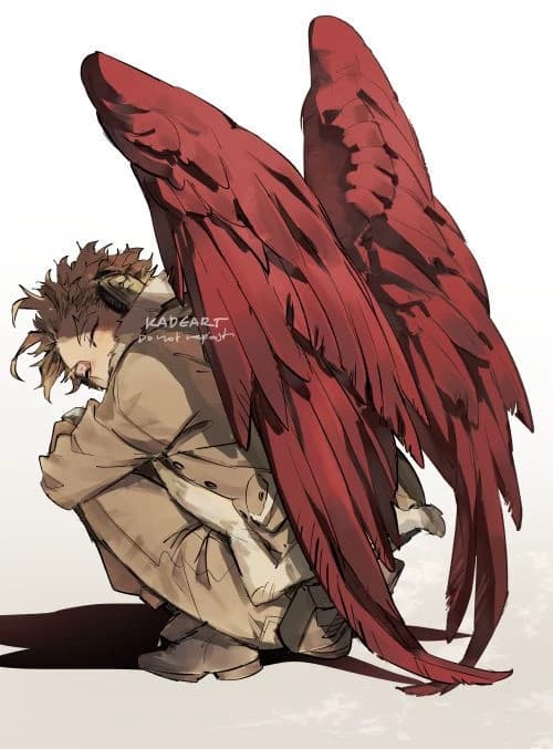 Hawks  thumbnail