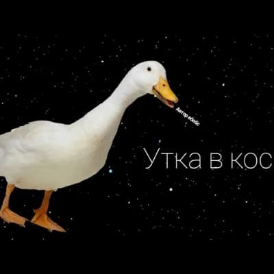 The Cosmic Duck thumbnail