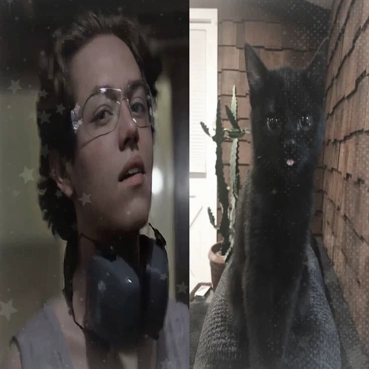  Carl gallagher día normal ...¿o no?🫦 thumbnail