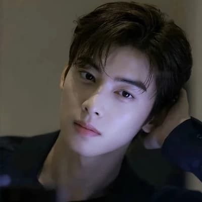 Cha Eun Woo (an idol) thumbnail