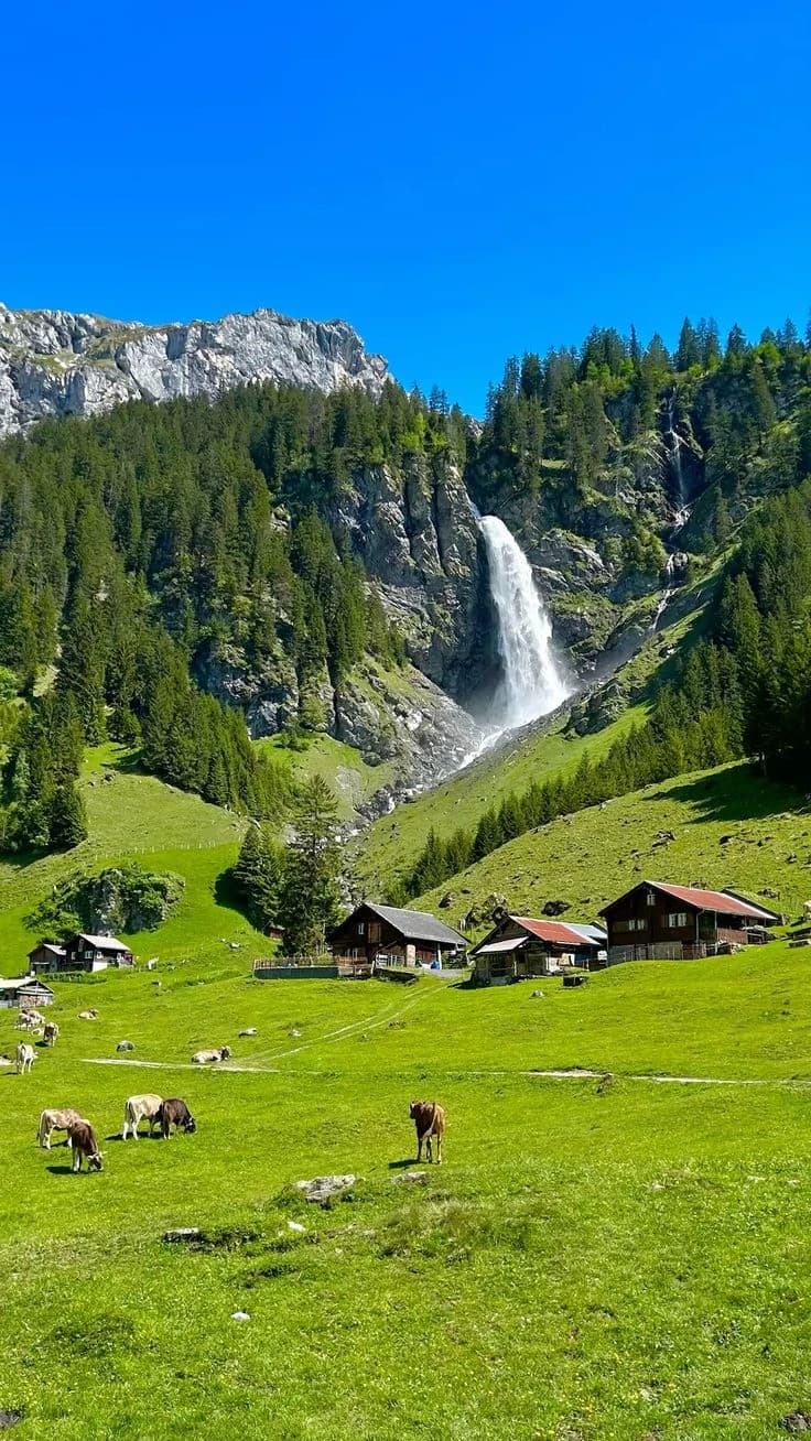 Switzerland thumbnail