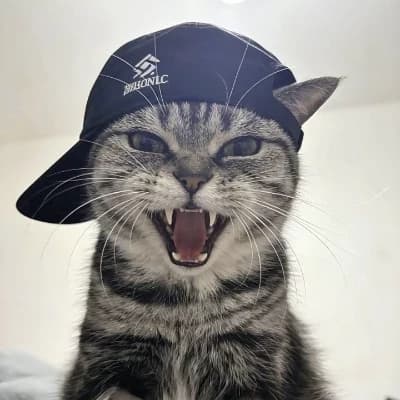 CATCIT thumbnail