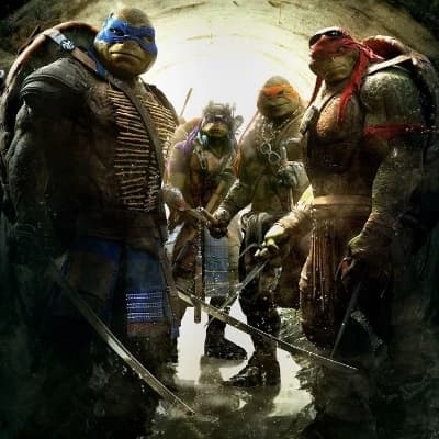 The Ninja Turtles thumbnail