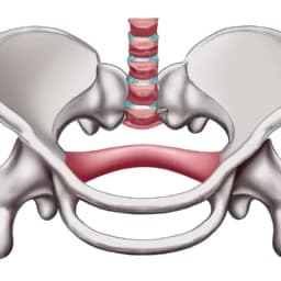 Anatomy Explora thumbnail