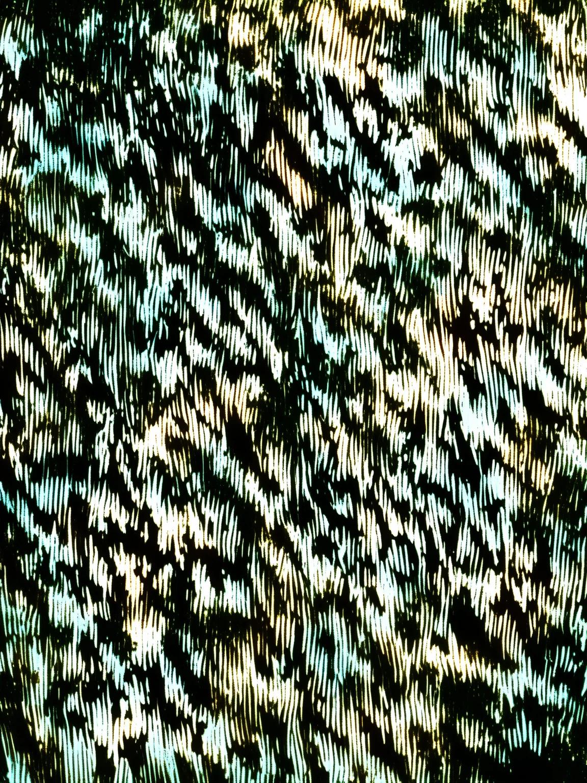 blur thumbnail