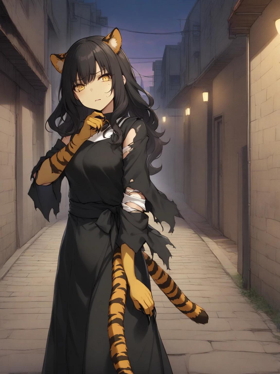 Paiper/ Tiger Chager of the Heroes League. thumbnail