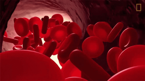 Apheresis specialist thumbnail